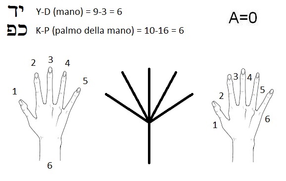 mano (YD, hand) e palmo della mano (KP, palm of the hand)