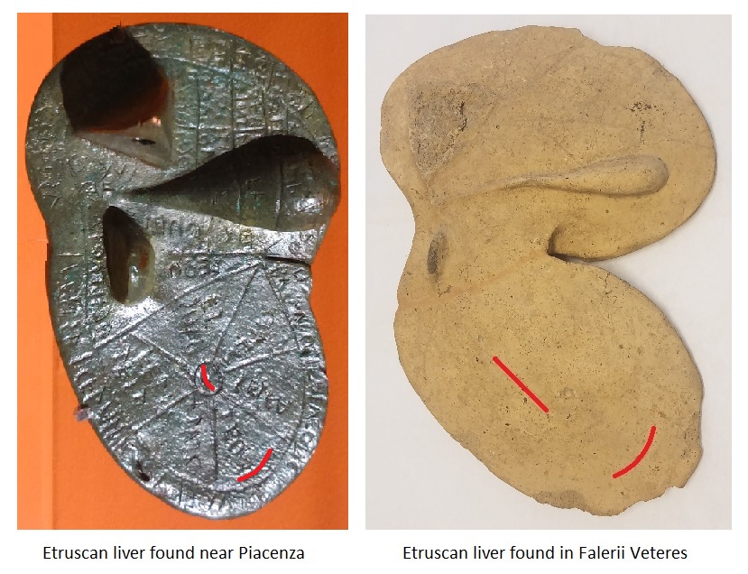 Il fegato etrusco di Piacenza e quello di Falerii Veteres (the Etruscan liver found near Piacenza and the Etruscan liver found in Falerii Veteres)