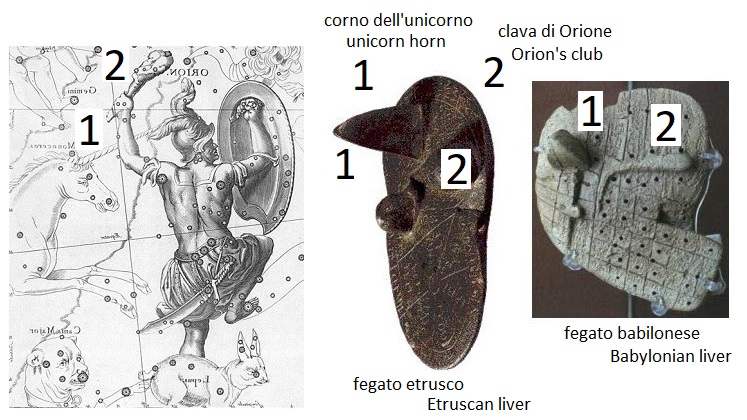 Orione (Orion, Italia, Italy), clava (club, Alpi, Alps), corno dell'unicorno nel fegato babilonese ed etrusco (unicorn horn in the Babylonian and Etruscan liver)