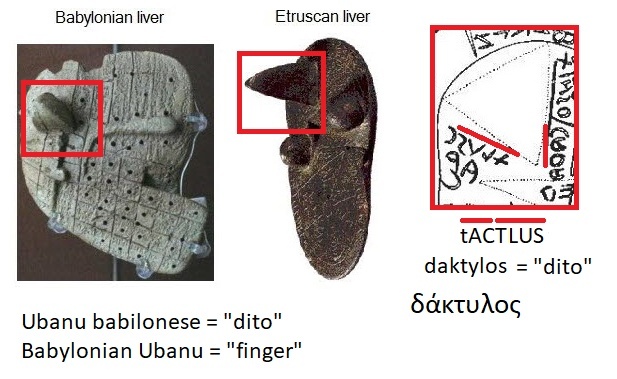 Ubanu dito babilonese (Ubanu Babylonian finger), tACTLUS daktylus greco dito mappa etrusca (tACTLUS Greek daktylus in the Etruscan liver)